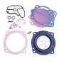 Kit de reconditionnement de carburateur WSM pour le Jet Ski Kawasaki JF 650 X-2, JH 1100 ZXI, JH 750 XIR, JH 750 ZXI, JH 900 ZXI