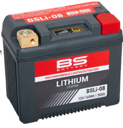 Batterie LiFePO4 au lithium BS BATTERY pour Jet Ski ARX 1200 N2, ARX 1200 N3