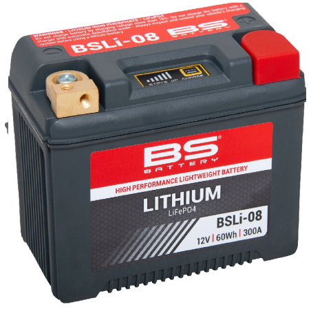 Batterie LiFePO4 au lithium BS BATTERY pour Jet Ski ARX 1200 N2, ARX 1200 N3