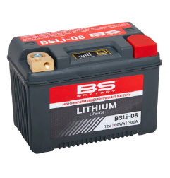 Batterie LiFePO4 au lithium WSM pour Jet Ski Kawasaki JF 650 SX, JF 650 TS, JF 650 X-2, JH 750 SS, JH 750 XI, JH 750 XIR