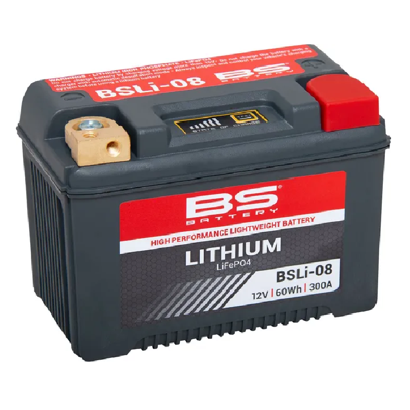 Batterie LiFePO4 au lithium BS BATTERY pour Jet Ski Kawasaki JF 650 SX, JF 650 TS, JF 650 X-2, JH 750 SS, JH 750 XI, JH 750 XIR