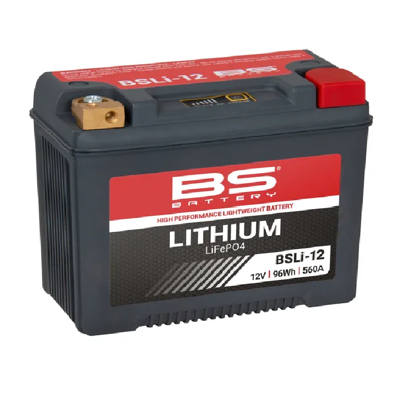 Batterie LiFePO4 au lithium BS BATTERY pour Jet Ski POLARIS ACE 900 XC 4X4, GENERAL 1000, GENERAL 1000 4X4, GENERAL 4 1000