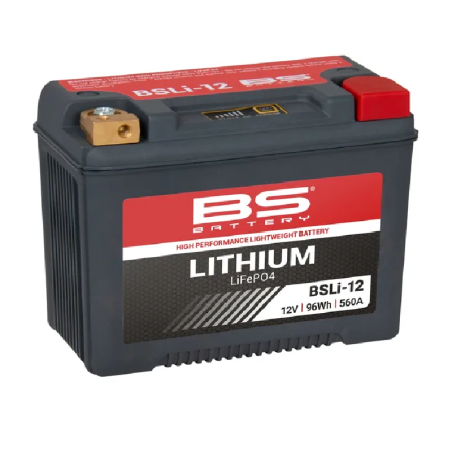 Batterie LiFePO4 au lithium BS BATTERY pour Jet Ski POLARIS ACE 900 XC 4X4, GENERAL 1000, GENERAL 1000 4X4, GENERAL 4 1000
