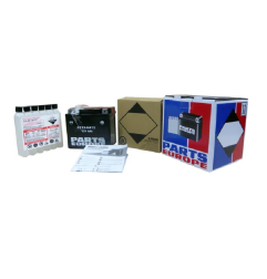 Batterie hautes performances sans entretien AGM PARTS EUROPE pour Jet Ski Kawasaki JF 650 TS, JF 650 X-2, JH 1100 ZXI, JH 1200