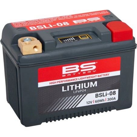 Batterie LiFePO4 au lithium BS BATTERY pour jet ski POLARIS GENISIS, MSX, PRO, SL, 1200, 785, 685