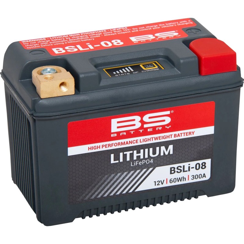 Batterie LiFePO4 au lithium BS BATTERY pour jet ski YAMAHA EX 1050, FX 1000, GP 1300, SJ 700, VX1100, WRA 650, XA 1200 Batterie LiFePO4 au lithium BS BATTERY pour jet ski YAMAHA EX 1050, FX 1000, GP 1300, SJ 700, VX1100, WRA 650, XA 1200
