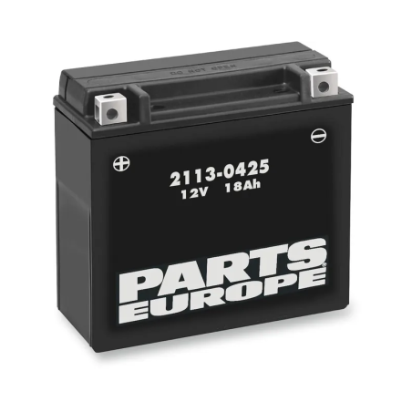 Batterie hautes performances sans entretien AGM PARTS EUROPE pour Jet Ski Yamaha SIDEWINDER 1000 B-TX, SIDEWINDER 1000 L-TX