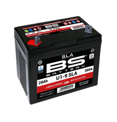 Batterie sans entretien AGM SLA prête à l’emploi BS BATTERY pour Jet Ski Yamaha YXC 700 4X4, YXE 1000, YXE 700 WDH, YXE 700 WDX