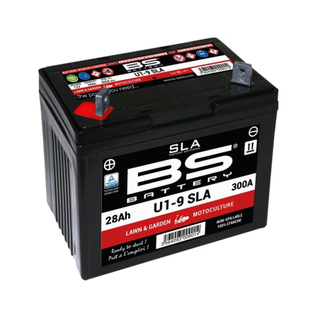 Batterie sans entretien AGM SLA prête à l’emploi BS BATTERY pour Jet Ski Yamaha YXC 700 4X4, YXE 1000, YXE 700 WDH, YXE 700 WDX