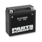Batterie hautes performances sans entretien AGM PARTS EUROPE pour Jet Ski Yamaha SIDEWINDER 1000 B-TX, SIDEWINDER 1000 L-TX Batterie hautes performances sans entretien AGM PARTS EUROPE pour Jet Ski Yamaha SIDEWINDER 1000 B-TX, SIDEWINDER 1000 L-TX