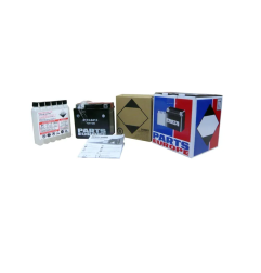 Batterie sans entretien AGM PARTS EUROPE pour Jet Ski Polaris IQ 550 LXT, IQ 600, IQ 600 LX, IQ 600 LXT, IQ FS 750