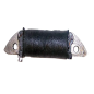 Bobine de remplacement WSM pour Jet Ski Sea-doo GS 720, GTI 720, GTI 720 LE, GTS 580, GTS 720, GTX 580, GTX 650, HX 720, SP 580