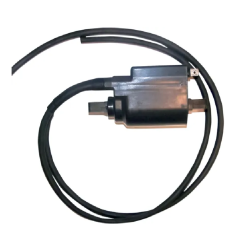 Bobine allumagede WSM pour Jet Ski Sea-doo GTI 720, GTS 580, GTS 720, GTX 580, HX 720, SP 580, SP 720, SPI 580, SPX 650