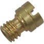 Gicleur de ralenti basse vitesse WSM