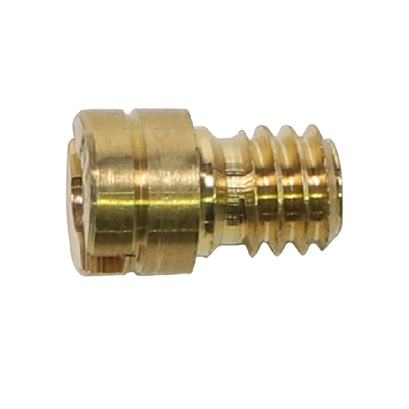 Gicleur de ralenti basse vitesse WSM Gicleur de ralenti basse vitesse WSM