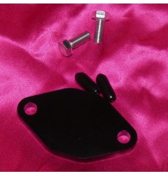 Plaque d’obturation d’admission d’huile WSM pour SEA-DOO GS, GT, GTI, GTS, GTX, HX, SP, SPI, SPX, XP, 580, 650, 720
