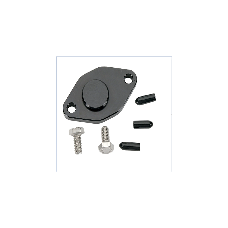 Plaque d’obturation d’admission d’huile WSM pour YAMAHA RA 1100, WVT 1100, XL 1200