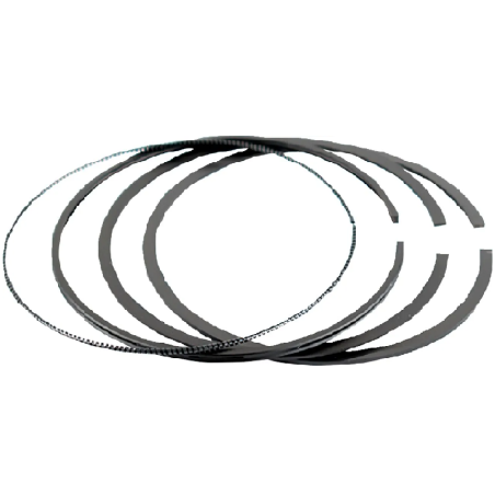 Segments WSM pour Jet Ski SEA-DOO BRP RXP-X 300 HO ACE
