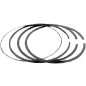 Segments WSM pour Jet Ski SEA-DOO BRP RXP-X 300 HO ACE Segments WSM pour Jet Ski SEA-DOO BRP RXP-X 300 HO ACE