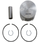 Kit de piston WSM pour POLARIS GENISIS , OCTANE, SLX, VIRAGE, Kit de piston WSM pour POLARIS GENISIS , OCTANE, SLX, VIRAGE,