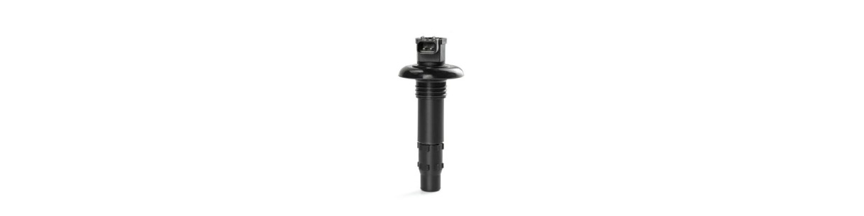 Catégorie bobine d'allumage et antiparasite pour jet ski YAMAHA