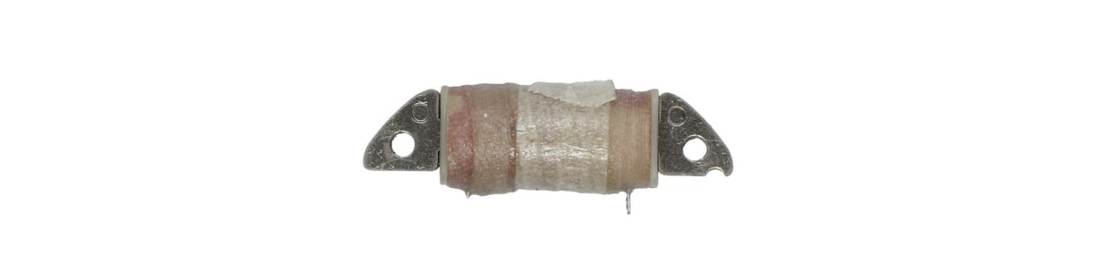 Catégorie stator et bobine de stator pour jet ski SEA DOO