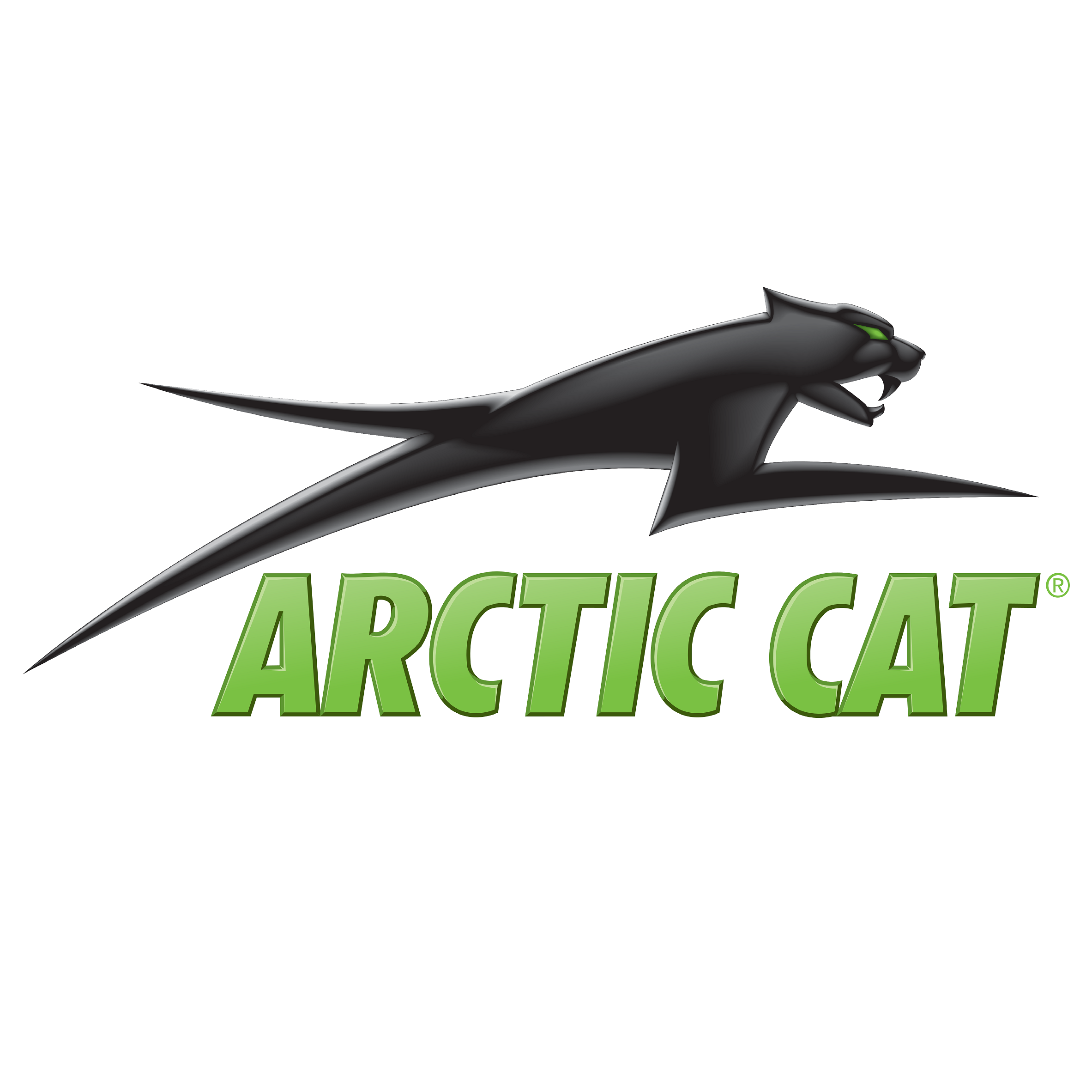 Arctic Cat